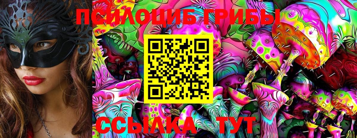 Курганинск  Псилоцибиновые грибы Psilocybe  цены наркотик  Вход с VPN 