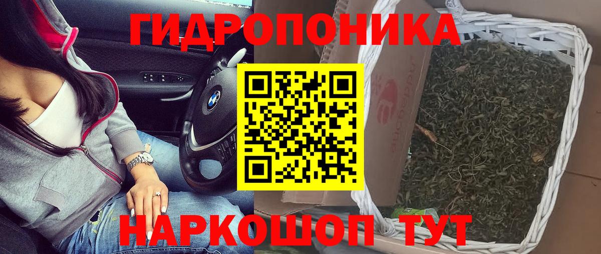 Конопля Amnesia Курганинск